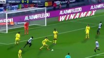 Angers SCO vs Paris SG 0-5 All Goals & Highlights - 04/11/2017 HD