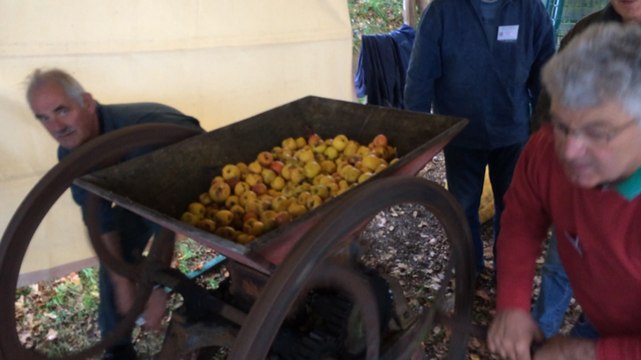 Les Mordus de la pomme pressent à l’ancienne