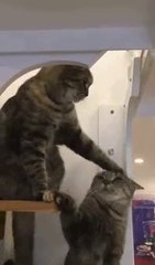 Kadın İle Erkek Arasındaki İlişkinin Özeti