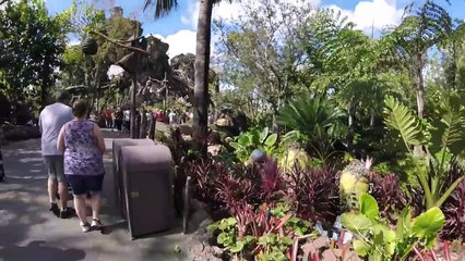 Disney’s Animal Kingdom Vlog 10th October 2017