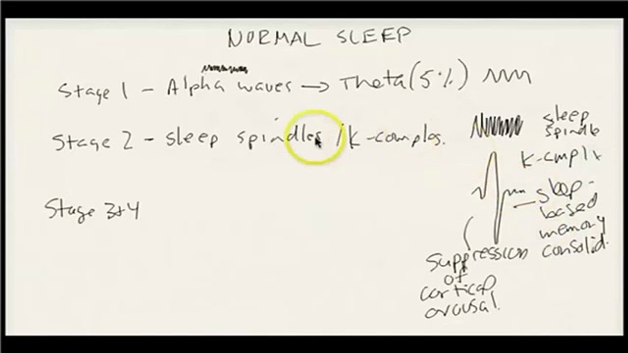 Normal Sleep And Sleeping Disorders Difference Between Normal Sleep And Sleep Disorders