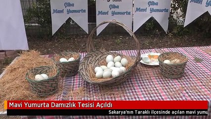 Mavi Yumurta Damızlık Tesisi Açıldı