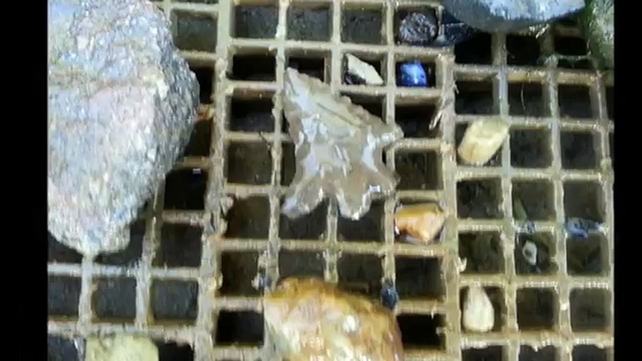 Ohio Arrowhead Hunting GROOVED AXE Archaeology Indian Artifacts Treasure Relics