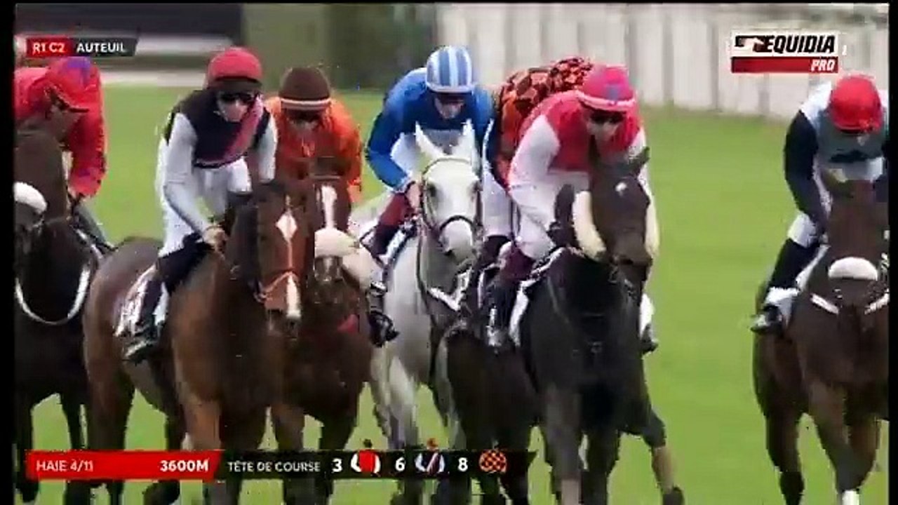 2017 Prix Bournosienne - Whetstone