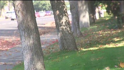 Man Punches Attempted Carjacker in the Face Before Calling Police