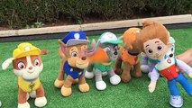 Patrulla canina español y peppa pig en el parque acuatico de dinosaurios con bolas Orbeez y piscina