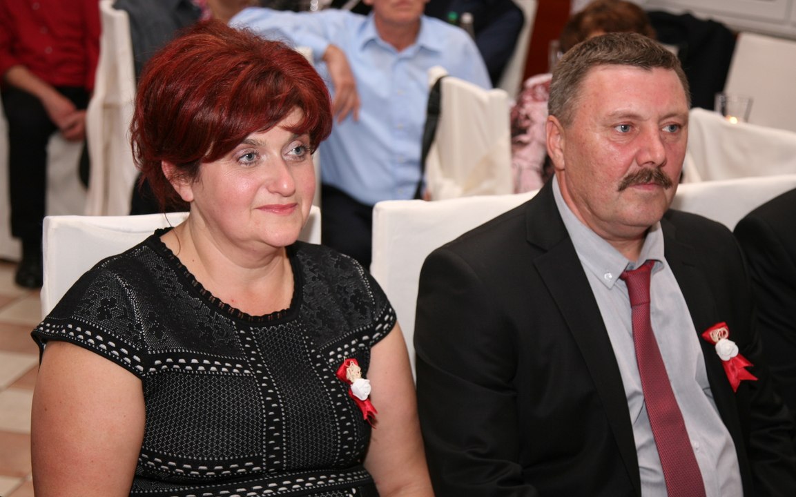 damijan50