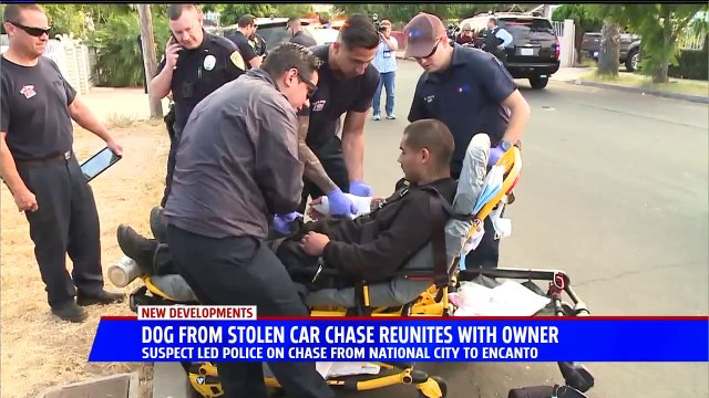 Dog Found in Stolen Truck After Police Chase Reunited With Owner