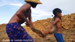 Amazing Cowboys Catch Big Anaconda Snake Near Excavator While Digging The Ground