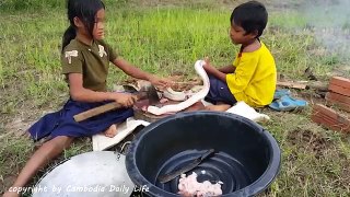 My Daughter Cooks Snake For My Family - How To Fry Snake in My Village