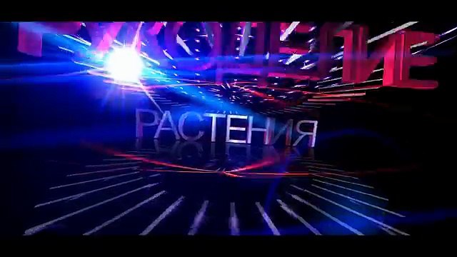 Жареная картошка с грибами Рецепт жареной картошки с маслятами