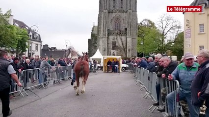 Bretagne. Le zapping du week-end