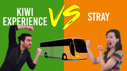 Kiwi Experience Vs Stray: Which Backpacker Bus to Travel New Zealand?