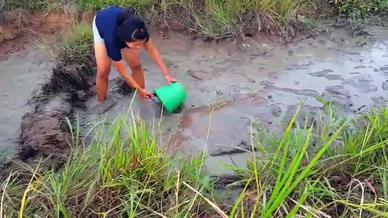 Amazing fishing at Battambang - people fishing in Cambodia - How to Catches fish (Part 161)