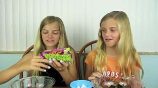 Crazy Cookie Challenge ~ Jacy and Kacy