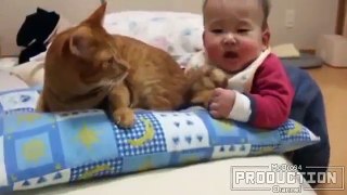 Babies annoying cats – Funny baby cat compilation