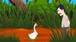 The Goose That Laid the Golden Eggs - Aesop's Fables For Children - Bedtime Stories - My Pingu Tv