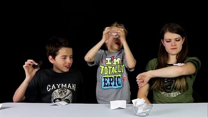 Fidget Spinner Spin Off / Jake and Ty