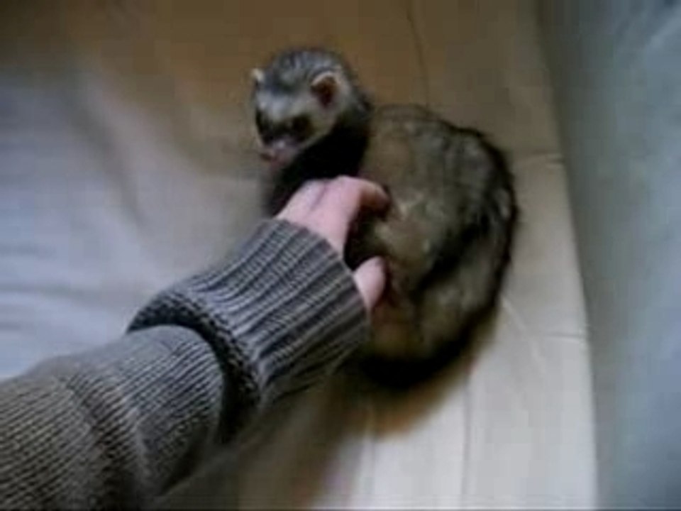 Petit jeu