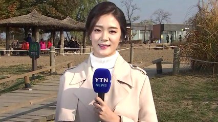 [날씨] 오늘 추위 누그러져...내일 맑고 큰 일교차 / YTN