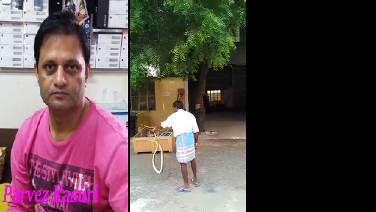 Funny Snake Man