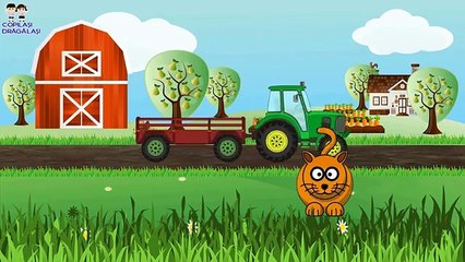 Animalele Domestice si Trorul la Ferma - Recunoaste Silueta - Desene Animate Educative