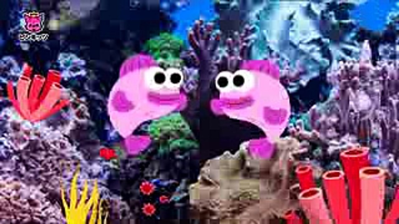 リアルなサメのかぞく  どうぶつのうた  ピンキッツ童謡