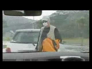 Hayden Panettiere veut sauver les dauphins