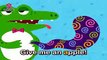 Alligator  フォニックス読みA  ABCフォニックスの歌  ピンクフォン英語童謡