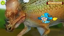 [まめきゅんの恐竜探検#18] パキケファロサウルス 【MAMEKYUNN】
