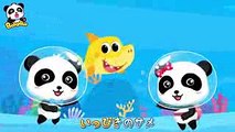 ♬サメのかぞく  ちびサメ  Baby Shark日本語   どうぶつのうた  赤ちゃんが喜ぶ歌  子供の歌  童謡   アニメ  動画  BabyBus