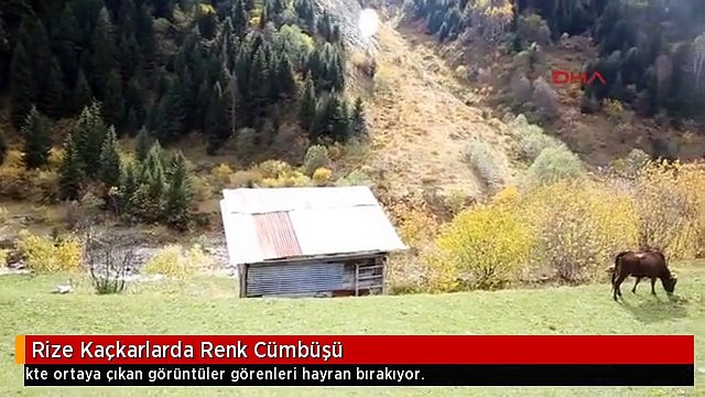 Rize Kaçkarlarda Renk Cümbüşü