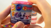 FASHEMS MASHEMS My Little Pony Transformers Hello Kitty Marvel LPS Power Rangers