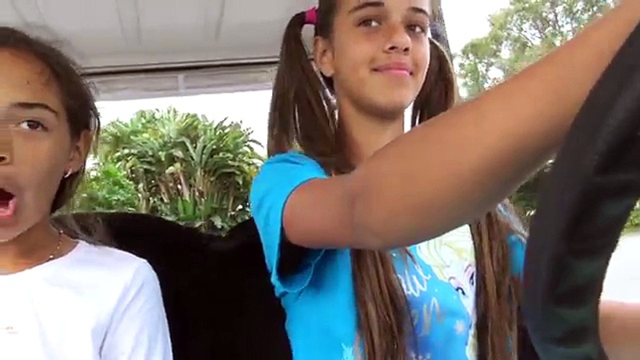 FROZEN ELSA CAR ACCIDENT! Bad Baby Driving Car Over Elsa w/ Joker Sophia Sarah TOYS TO SEE