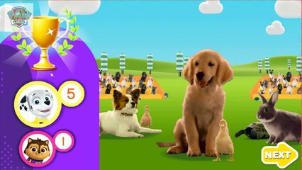Super Snuggly Sports Spectacular 2017! | Watch & Play Game PAW Patrol on Nick Jr