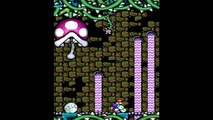 Yoshis Island DS - ALL Bosses (No Damage)