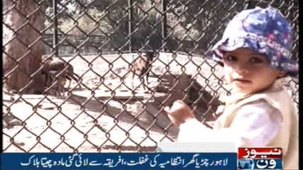 NewsOne Headlines 1PM | 5-November-2017