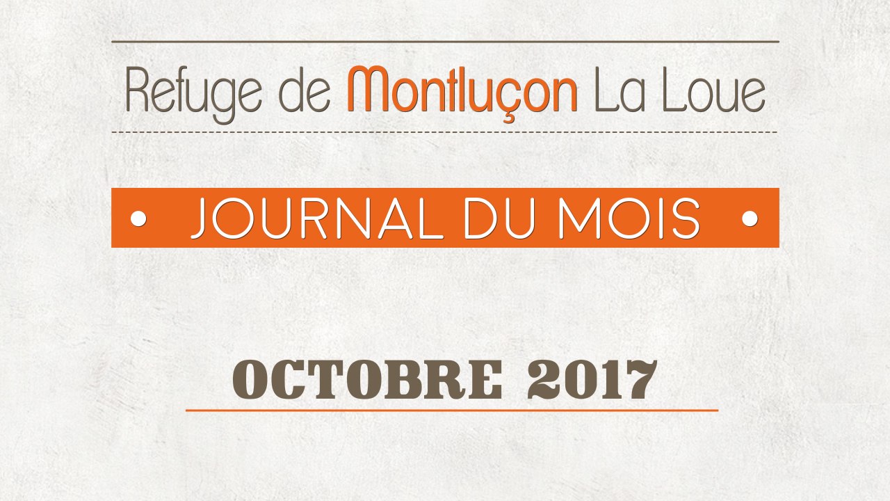 Un mois au refuge : octobre 2017