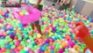 Bé Bún Bắn Đại Bác Bóng và Chơi Nhà Bóng - Fun Indoor Playground for Kids | Creative Kids