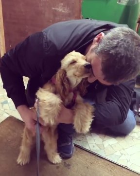 Le sourire béat de ce chien est tellement mignon !