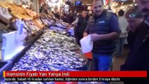 Hamsinin Fiyatı Yarı Yarıya İndi