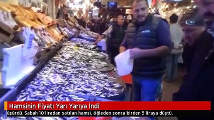 Hamsinin Fiyatı Yarı Yarıya İndi