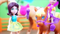 PIG GEORGE DA FAMILIA PEPPA PIG POLLY POCKET E OUTRAS HISTÓRIAS EM PORTUGUES