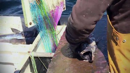 Lugares que Hablan 2017  Puerto Gala y el ventisquero colgante Queulat -pt3