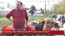 Gaziantep Şehir Merkezinde 38 Yıl Sonra Deve Keyfi