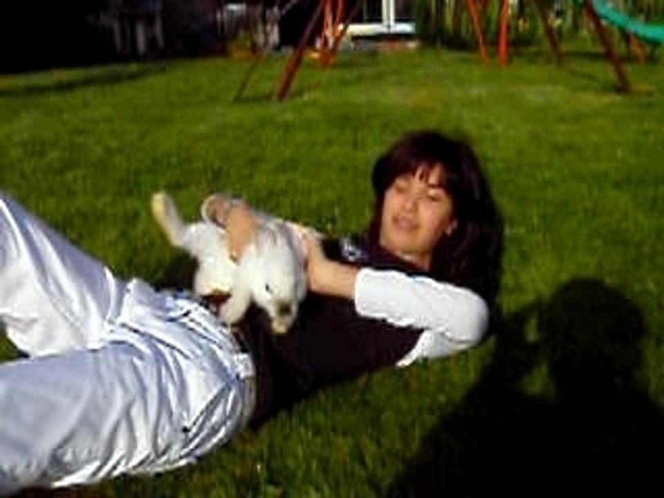 Vidéo de caro et de grilou filmé par moi dans mon jardin