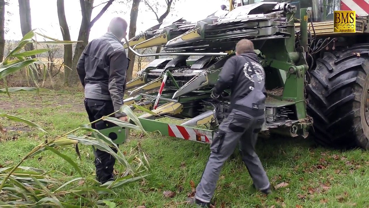 Das letzte Maisfeld  - Maishäckseln 2017 - LU Bauch bei der Maisernte - Maize harvest Germany