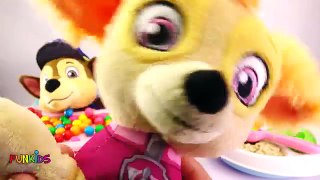 Best Learning Colors Video for Children - Paw Patrol Babies Skye & Chase Eat Gumballs in High Chair