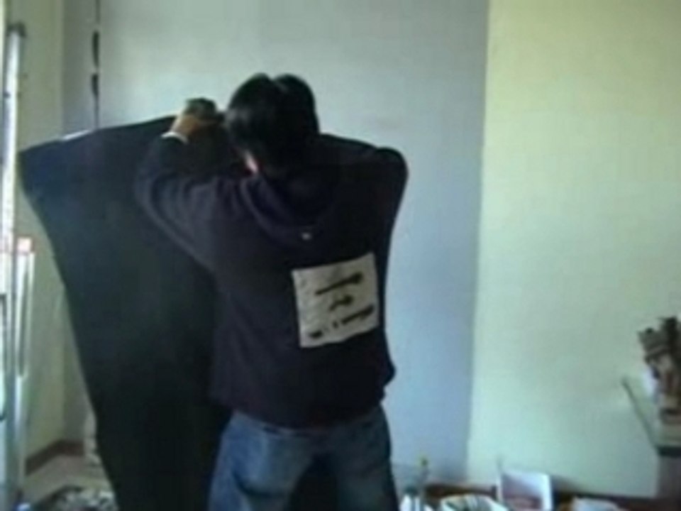 peinture rapide - siseaux rapide - speed painting -silhouett