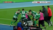 Masaya Okugawa Goal HD - Austria Vienna 1 - 2 Mattersburg - 05.10.2017 (Full Replay)